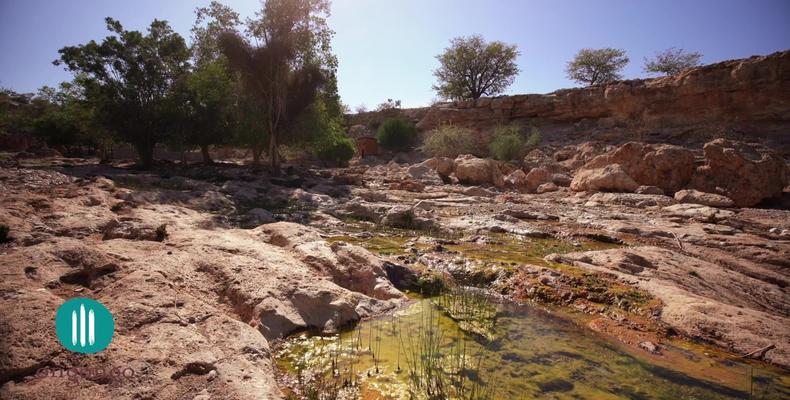 Canyon View