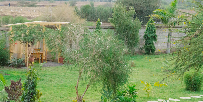 Lodge exterior - grounds