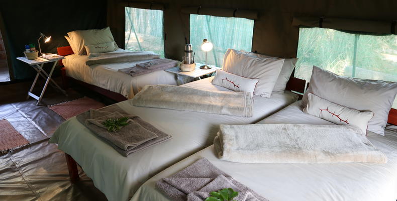 Tented Family Room