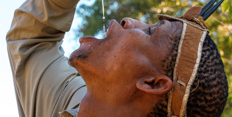 Bushman Activity