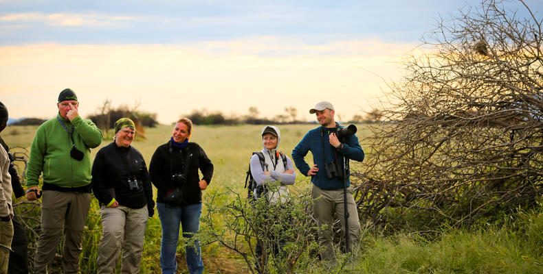 Activities - Nature walks