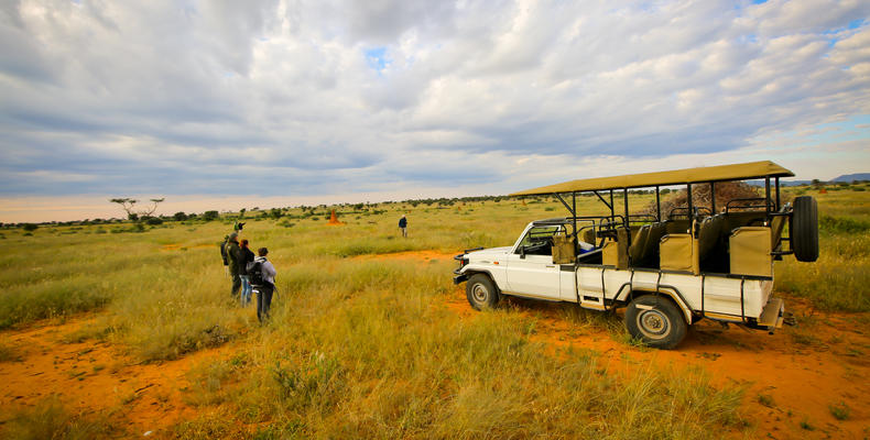 Activities - Game Drives