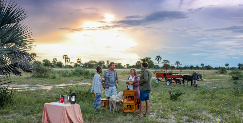 Ongula sundowner