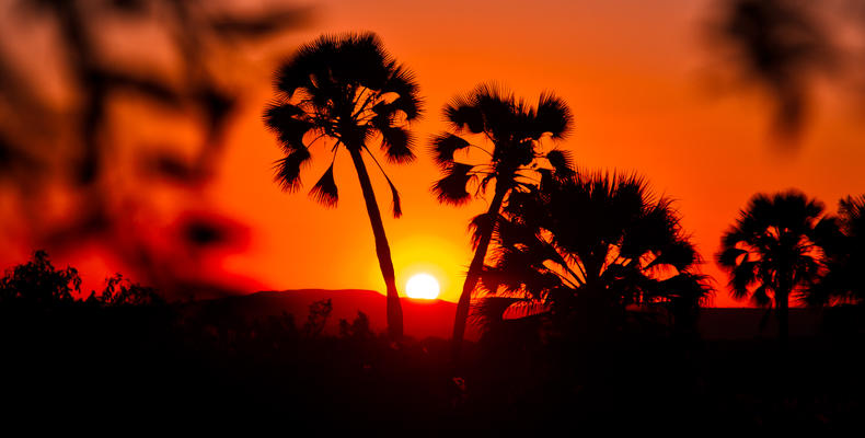 Palmwag Campsite