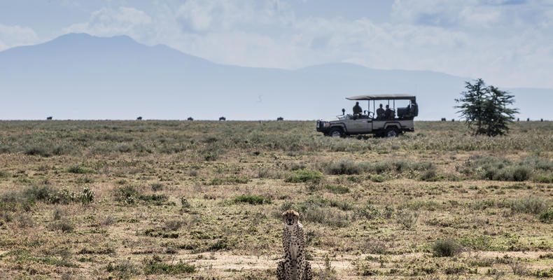Mila Tented Camp