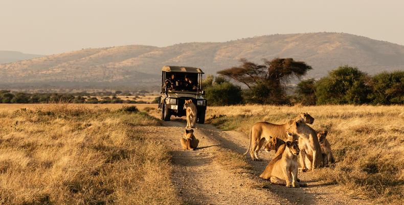 Mila Tented Camp