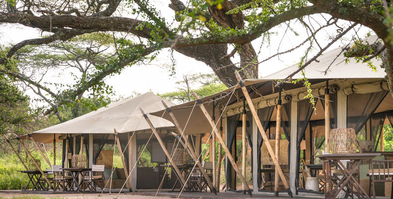 Mila Tented Camp