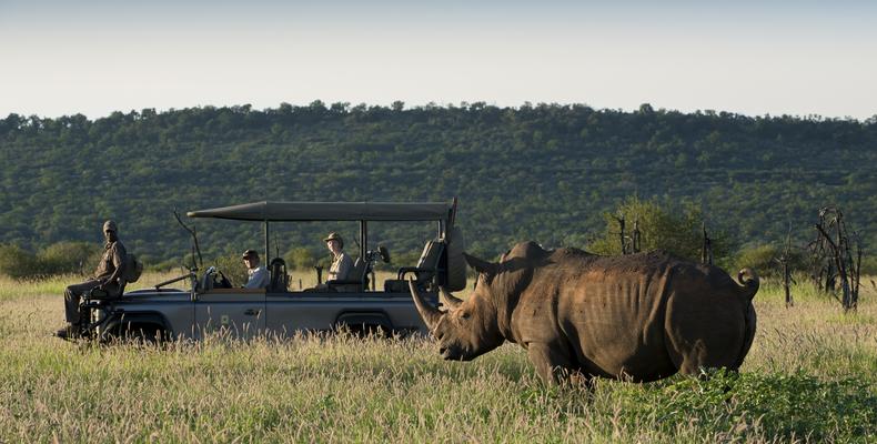 Morukuru Family Madikwe - game drive with rhino