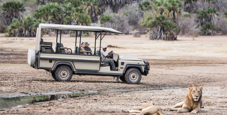 Game drives
