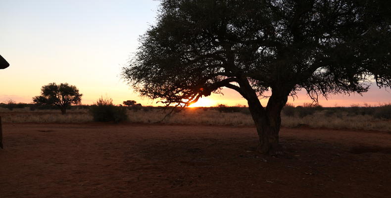 Kiripotib | Sundowner Game Drive