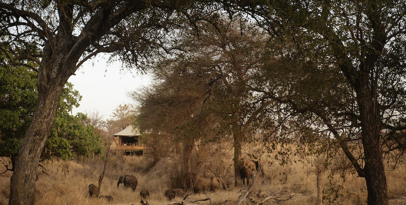 Olkeri Camp - Ellies by the waterhole