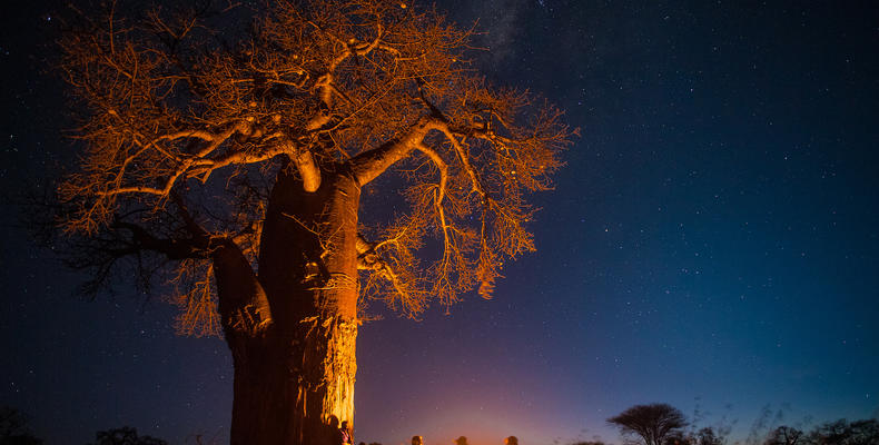 Olkeri Camp - Sundowners