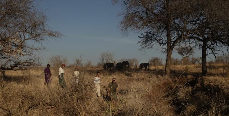 Olkeri Camp - walking safari