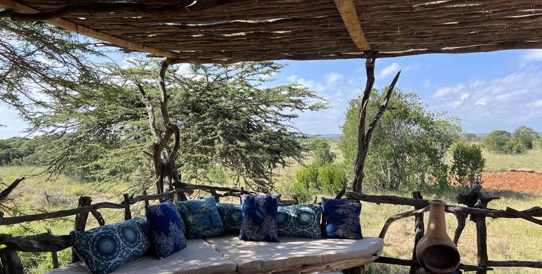 Shady afternoons at the pool