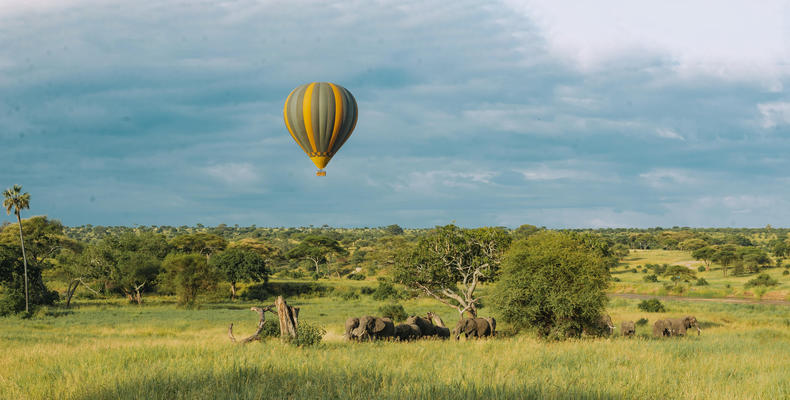 Tarangire Kati Kati