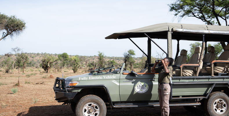 Togoro E-Safari