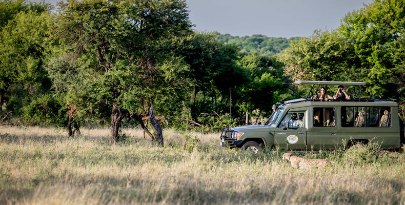 Togoro Safari