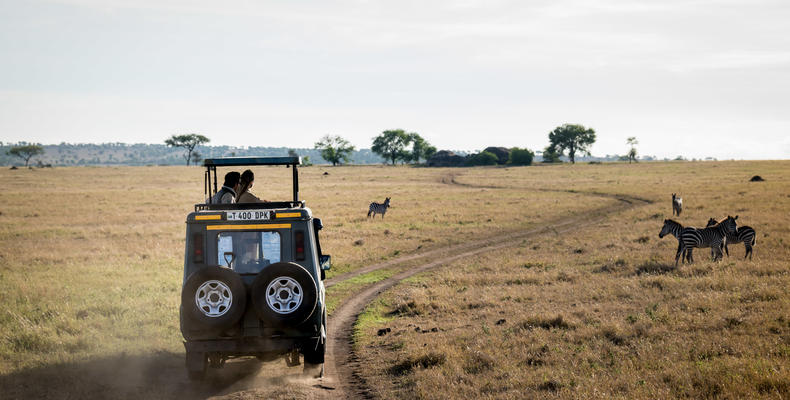 Togoro Safari