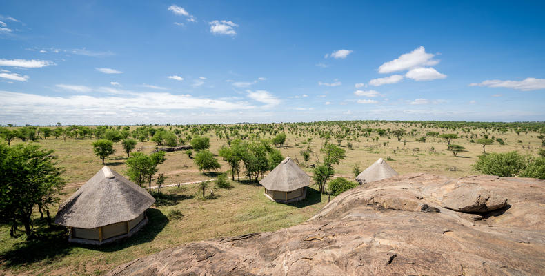 Togoro Tent