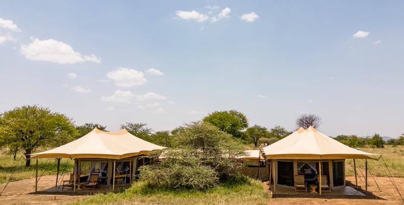 Family Tent