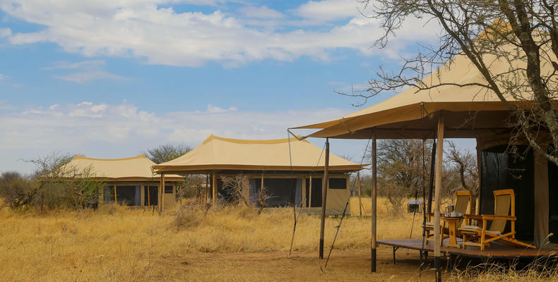 Accommodation tents