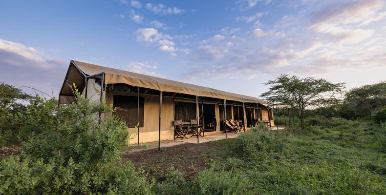 Family Tent Outside view