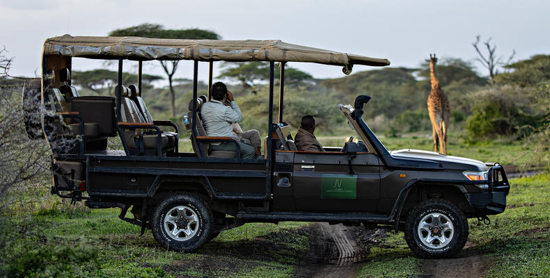 Luxury safari game drive