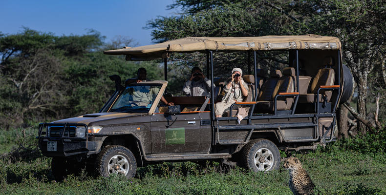 Safari Game Drive