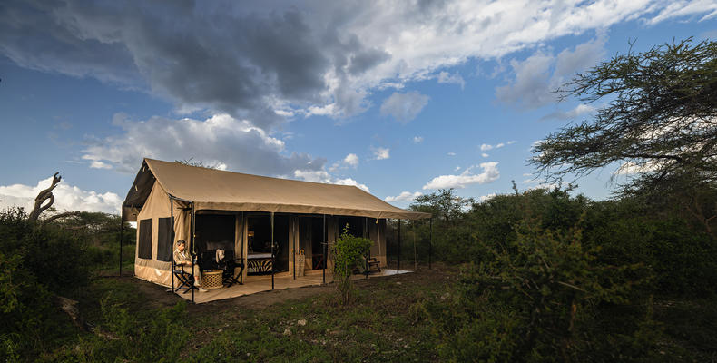 Our tents are beautifully positioned in the middle of the bush 