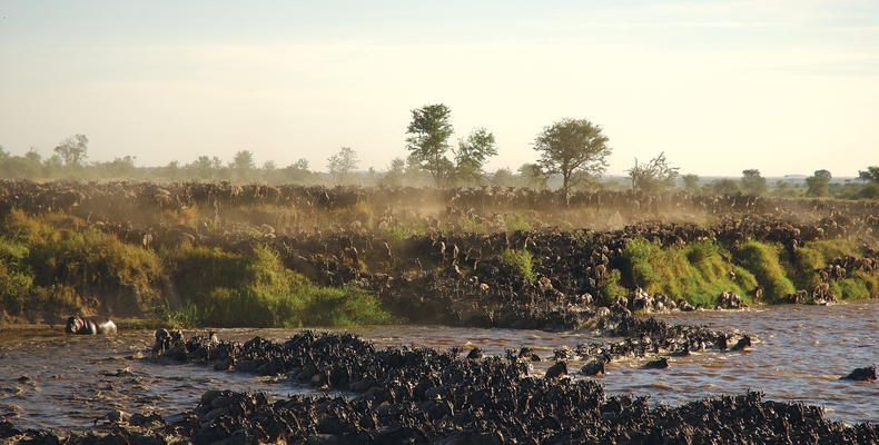 Asilia Africa - Sayari Retreat - The Great Migration