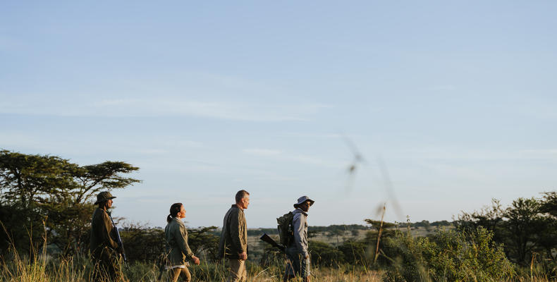 Wilderness Usawa Serengeti
