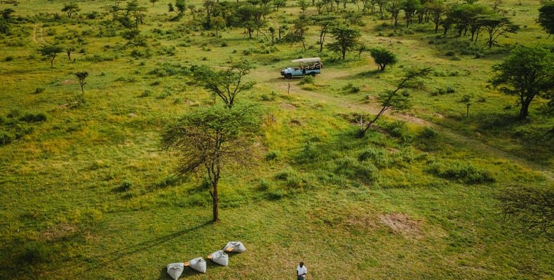Wilderness Usawa Serengeti