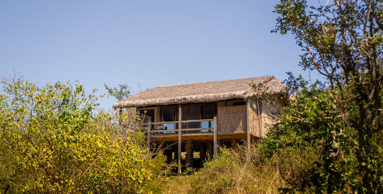 Simbavati Grumeti 