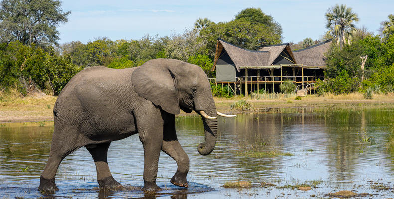 Little Tubu Camp Main Area During Flood Season