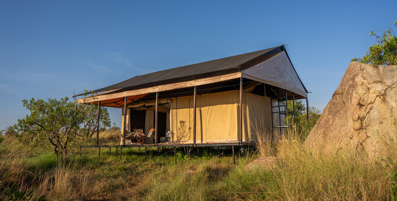 Simbavati Mara 
