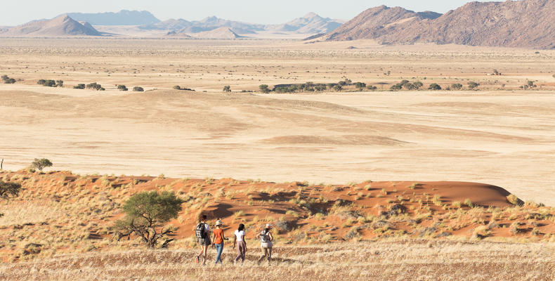 Namib Desert Campsite