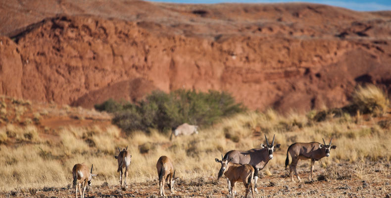 Namib Desert Lodge