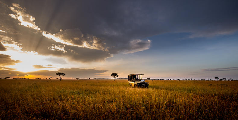 Singita Milele
