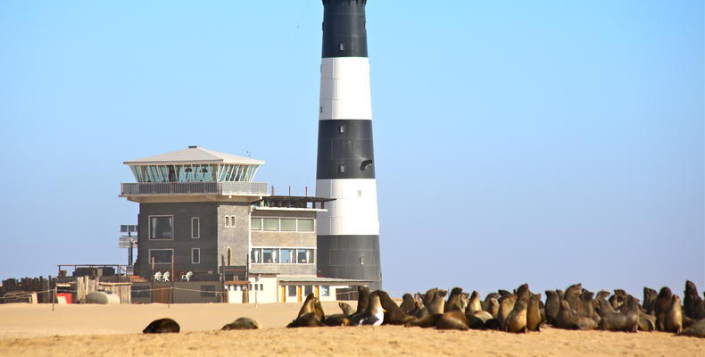 Residents of Pelican Point