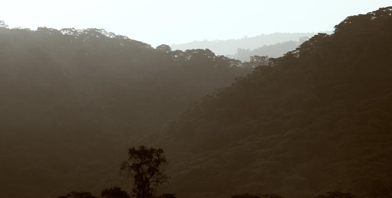 Kitela Lodge - Karatu