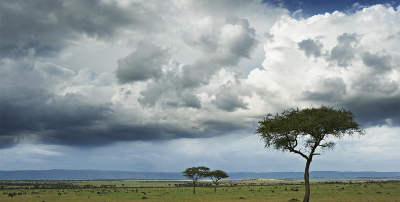 Singita Mara River Tented Camp