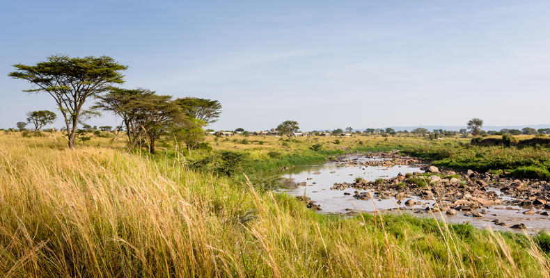Singita Mara River Tented Camp
