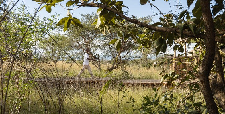 Singita Mara River Tented Camp