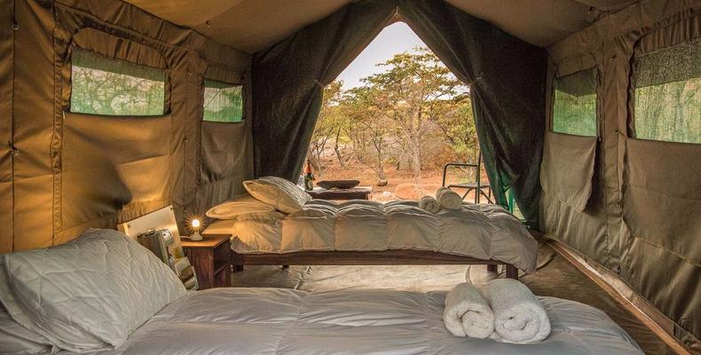 Luxury Camp