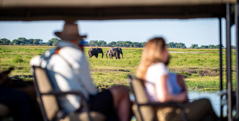 Game drives