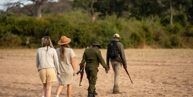 Kokoko - Guests on a Walking Safari