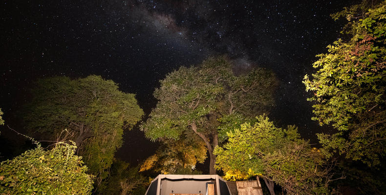 Kokoko - Open Tent Under the Stars