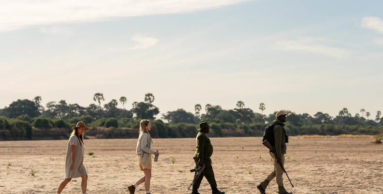 Kokoko - Walking Safari