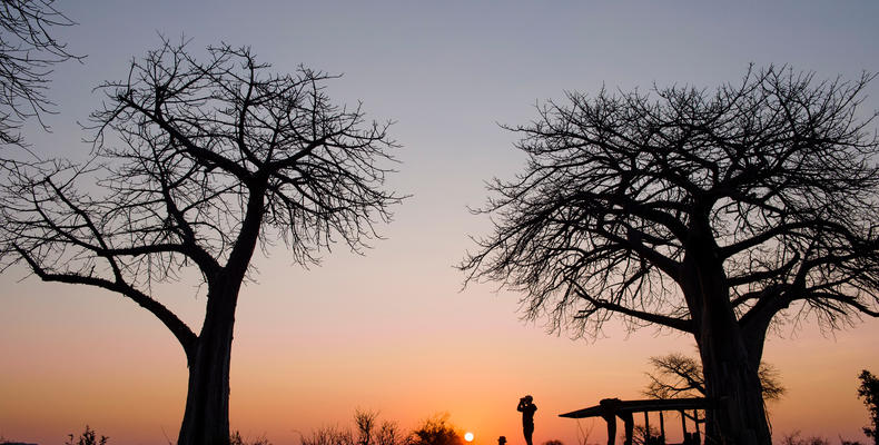 Kokoko - Sunset On Camp