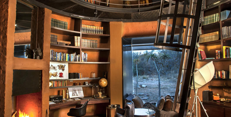 The library with ladder up to the dome